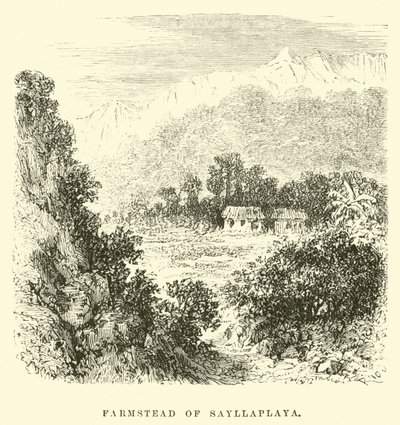 Farmstead of Sayllaplaya by Edouard Riou